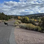 Apartment 15 Minute Walk To Plaza *
